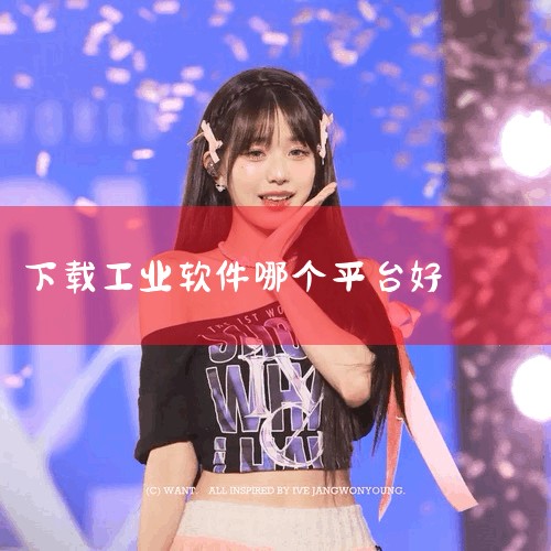 京东工业相关的软件主要有京东工业互联网平台、京东慧采APP、京东工品汇app。以下是详细介绍：京东工业互联网平台：该平台聚焦于跨行业、跨领域、跨地域的工业供应链技术与服务。它融合了物联网、大数据与人工|MR好色