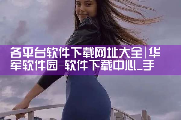 各平台软件下载网址大全|MR好色