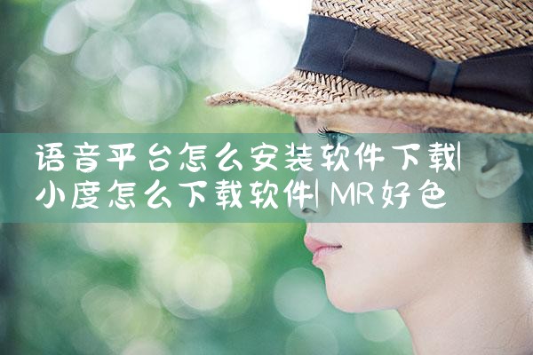 语音平台怎么安装软件下载|MR好色
