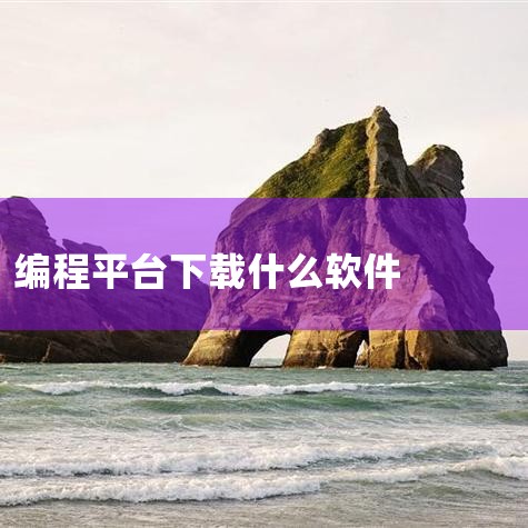 老张说，这就是Scratch 儿童编程最厉害的地方——它不仅仅是个工具，更是一个创意无限的全球社区。孩子不需要学什么辅助软件、不用配置复杂环境、不用记命令行。他们只需要打开https://scr.li,P站专业版