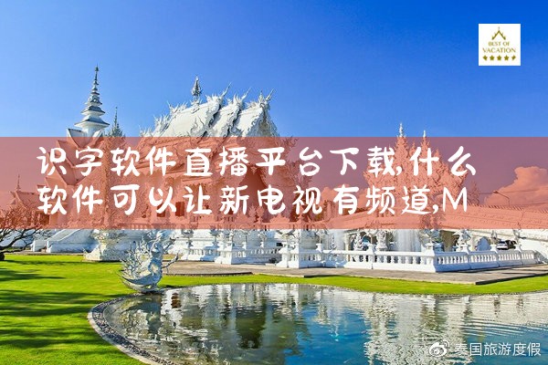 识字软件直播平台下载|MR好色
