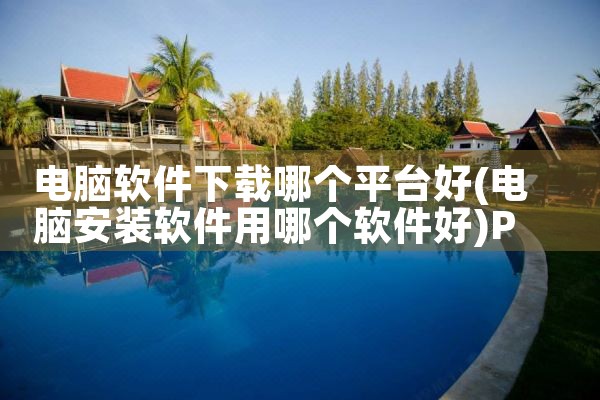电脑软件下载哪个平台好|P站专业版