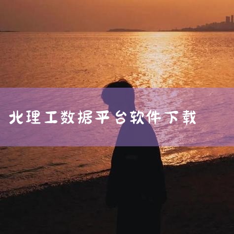 雷丁大学计算机科学全球排名前150位（2023年QS），教学强调“问题导向学习”（PBL），例如组织学生参与跨国企业IT咨询项目；北京理工大学提供国产工业软件实践平台，学生可接触北斗导航、量子通信等国,MR好色