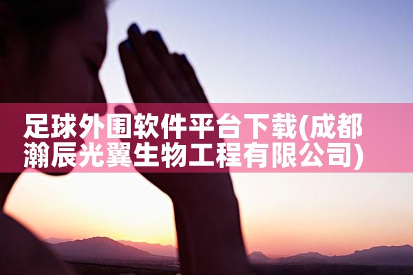 足球外围软件平台下载|MR好色