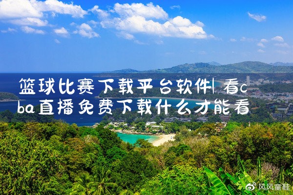 篮球比赛下载平台软件|P站专业版