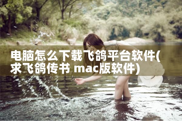 电脑怎么下载飞鸽平台软件|MR好色