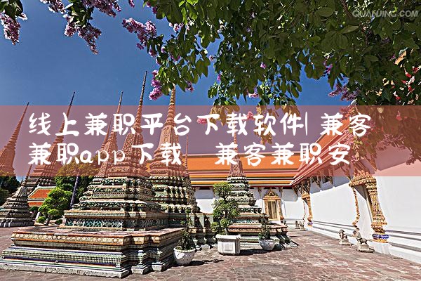 线上兼职平台下载软件|P站专业版