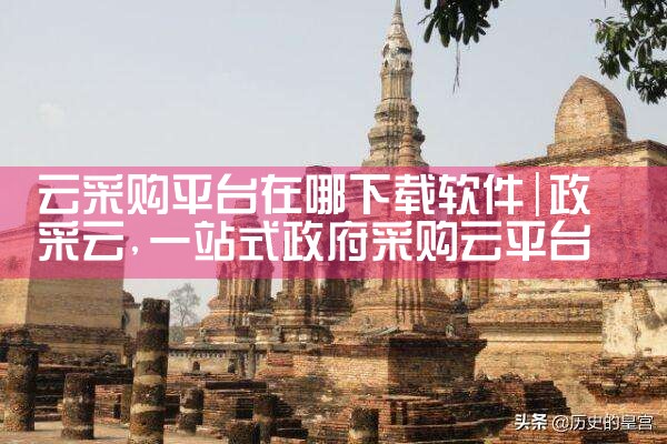 云采购平台在哪下载软件|MR好色