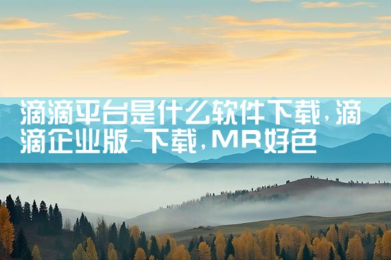 滴滴平台是什么软件下载|MR好色