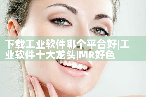 下载工业软件哪个平台好|MR好色