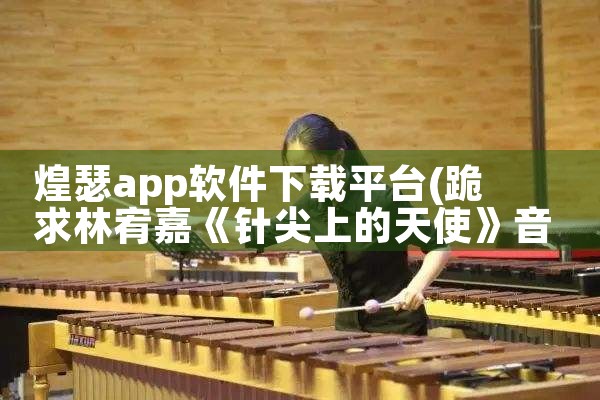 煌瑟app软件下载平台|P站专业版
