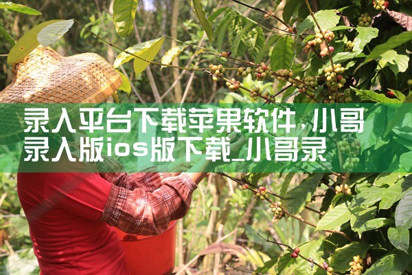 怎么下载黑彩平台软件|MR好色