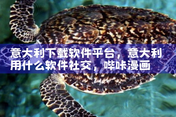 意大利下载软件平台|哔咔漫画