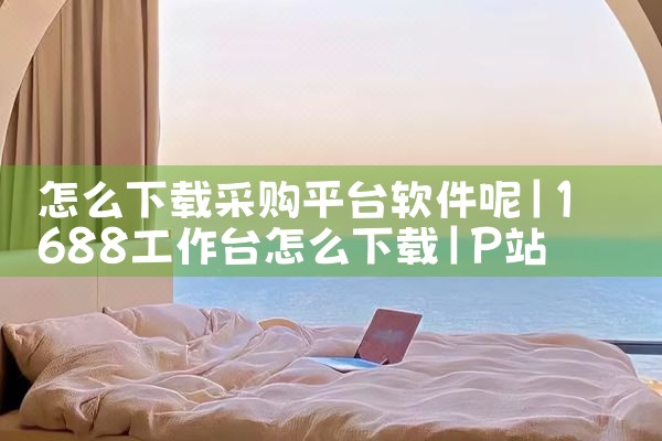 怎么下载采购平台软件呢|P站专业版