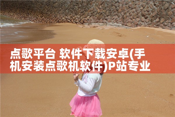 点歌平台 软件下载安卓|P站专业版