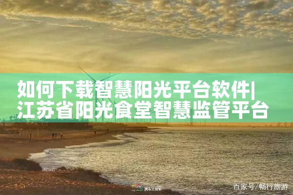 如何下载智慧阳光平台软件|P站专业版