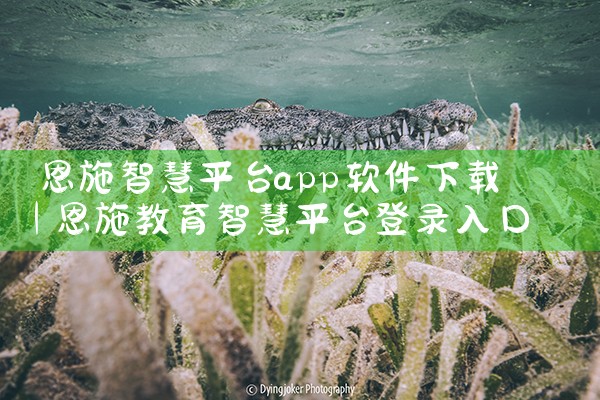 恩施智慧平台app软件下载|MR好色