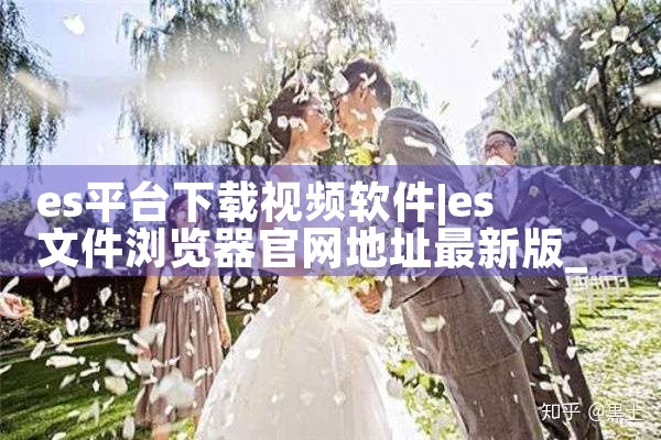 es平台下载视频软件|MR好色