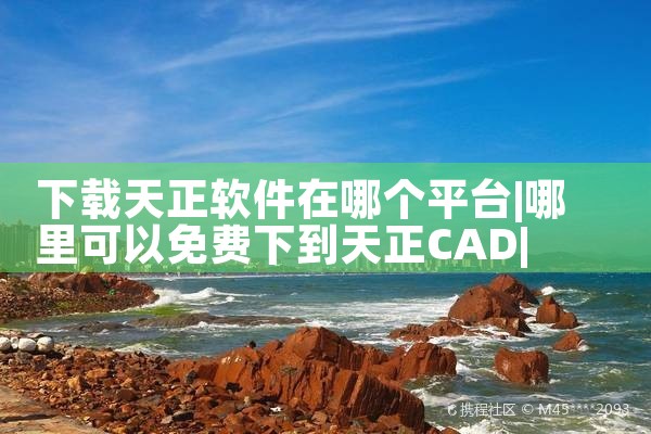 下载天正软件在哪个平台|P站专业版