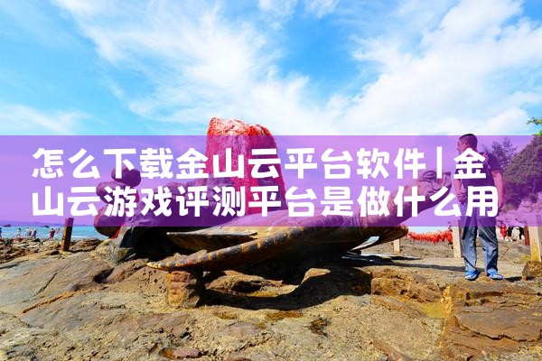 怎么下载金山云平台软件|糖心Vlog