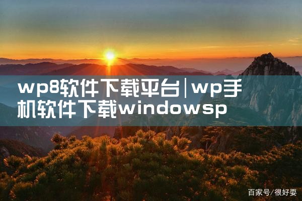 wp8软件下载平台|P站专业版