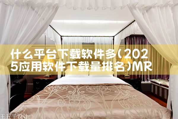 什么平台下载软件多|MR好色